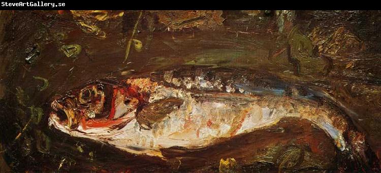 Chaim Soutine The Salmon